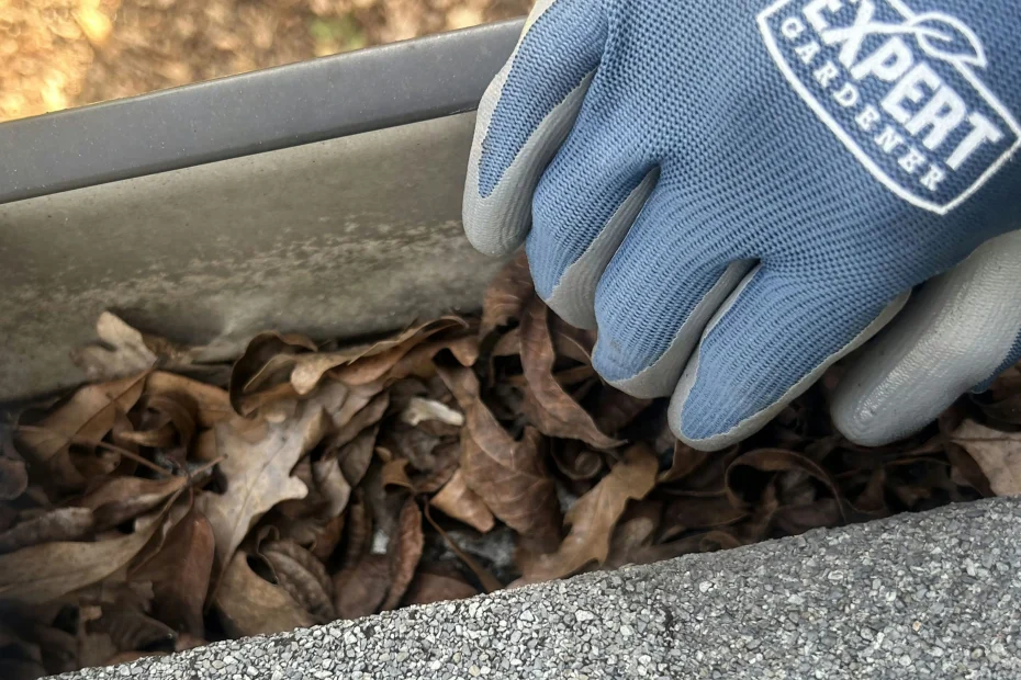 Gutter Cleaning Crystal Beach FL