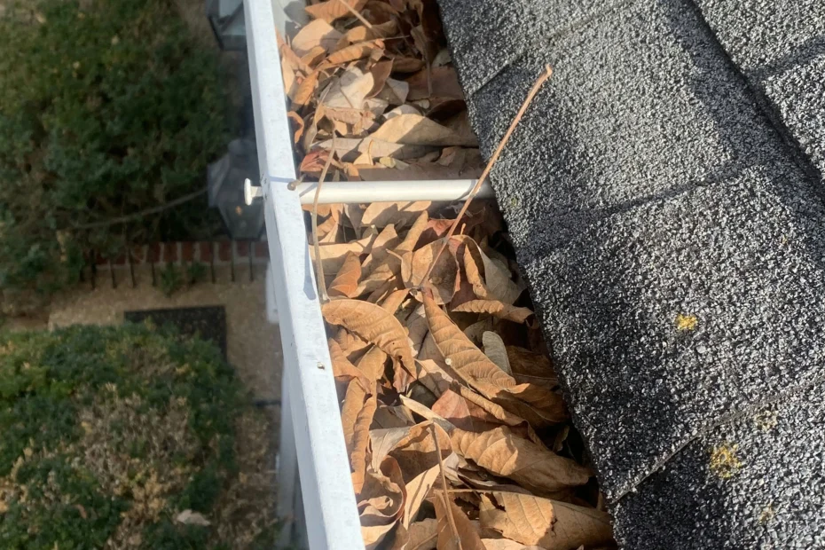 Gutter Cleaning Crystal Beach FL