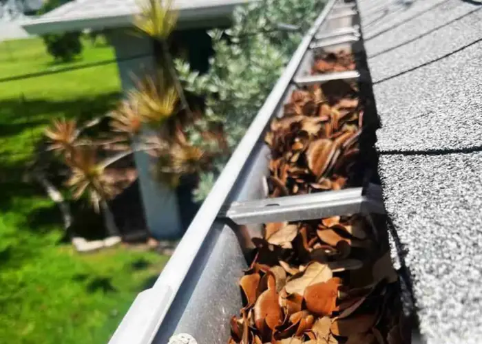 Gutter Cleaning Crystal Beach FL home page